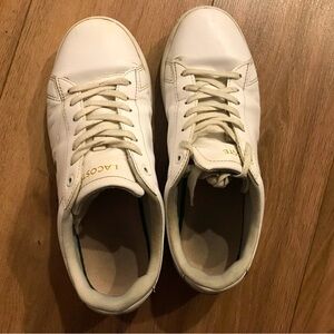 Lacoste shoes 8